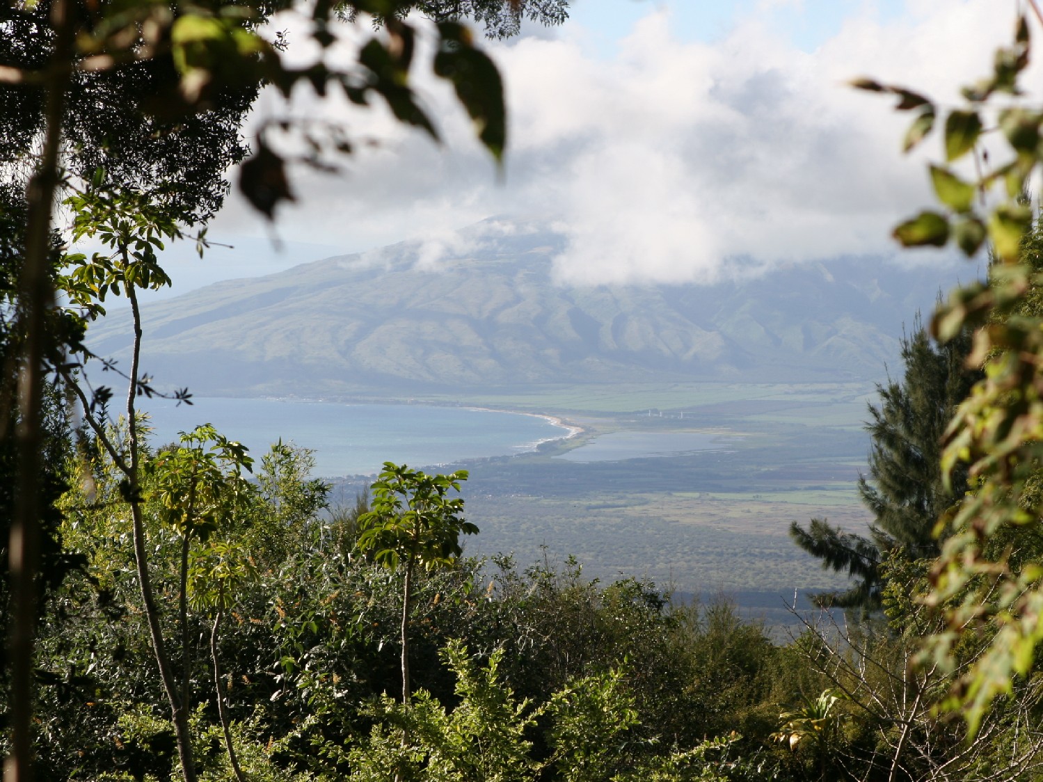 Maui overview