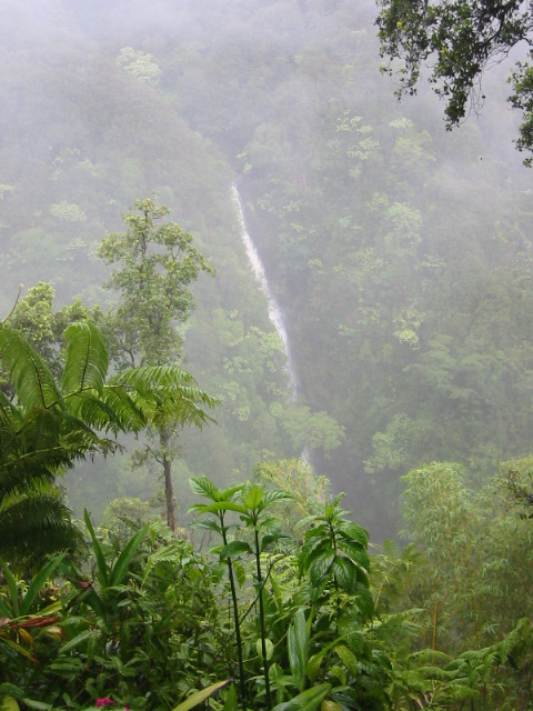 waterfall - island scenery