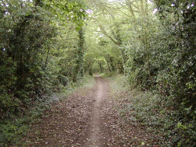 Cotswold Trail