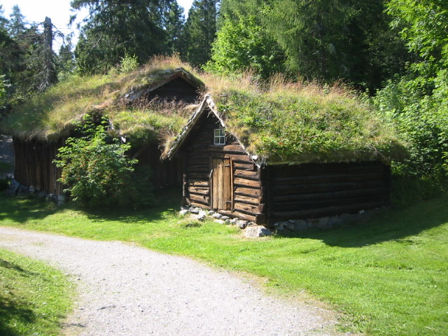 grass roof buildings