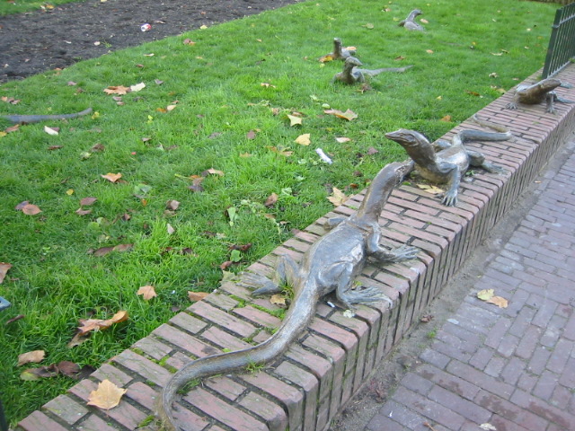 Lizards