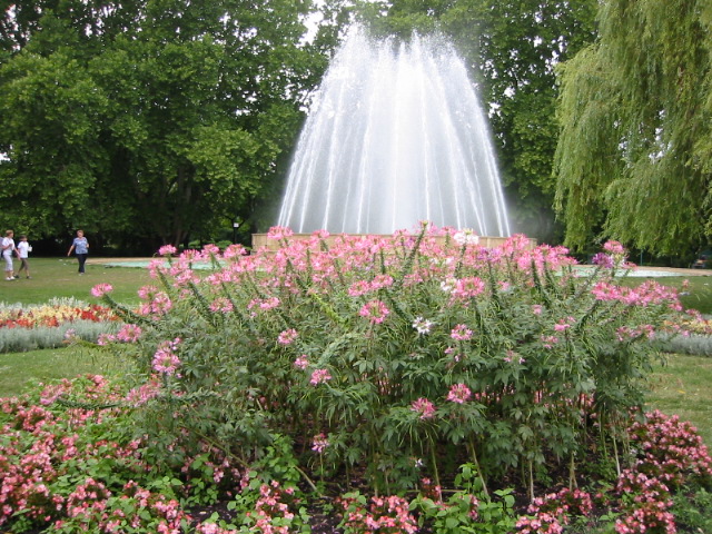 fountain on Margaret Island
