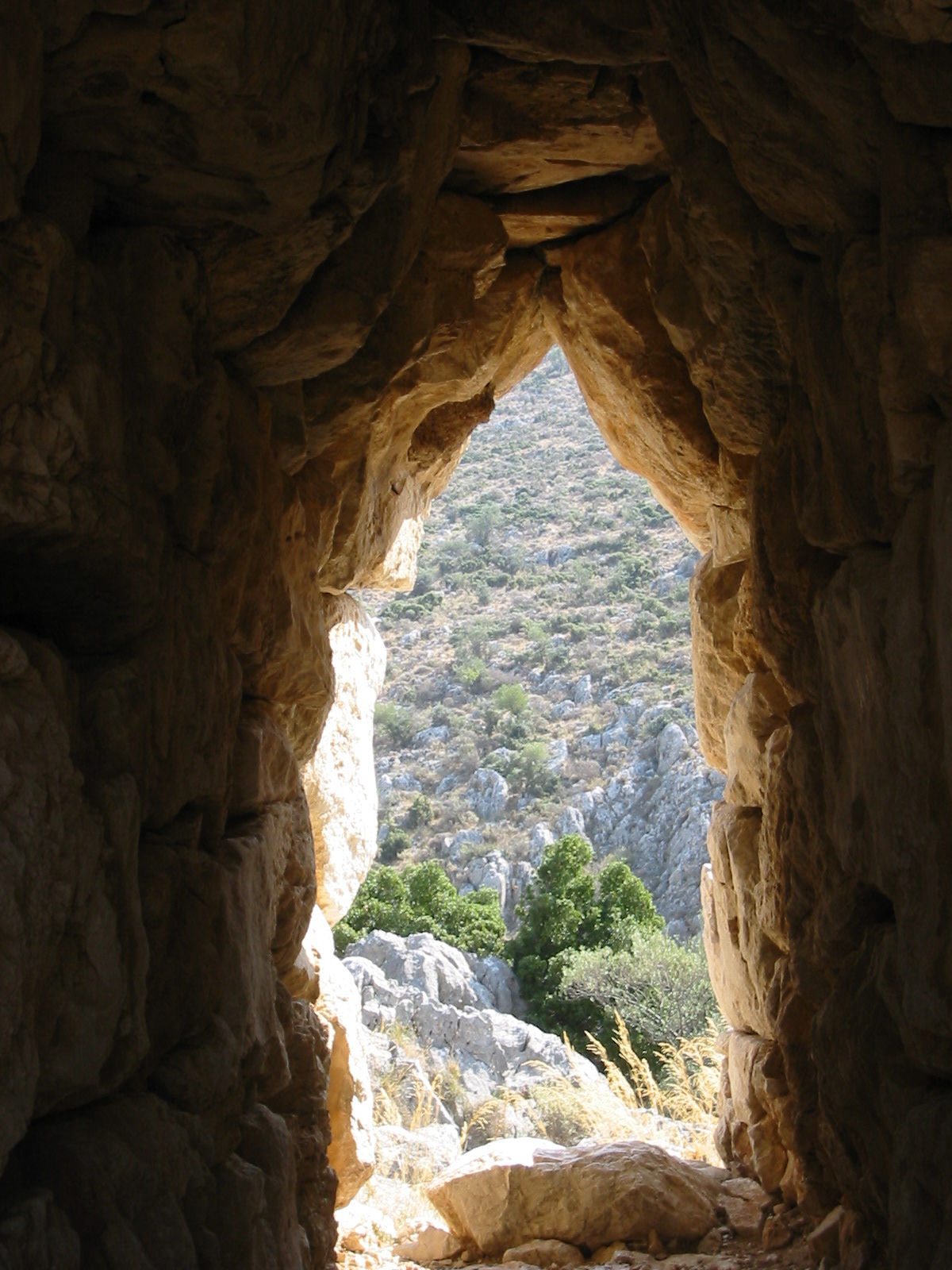 look thru gate