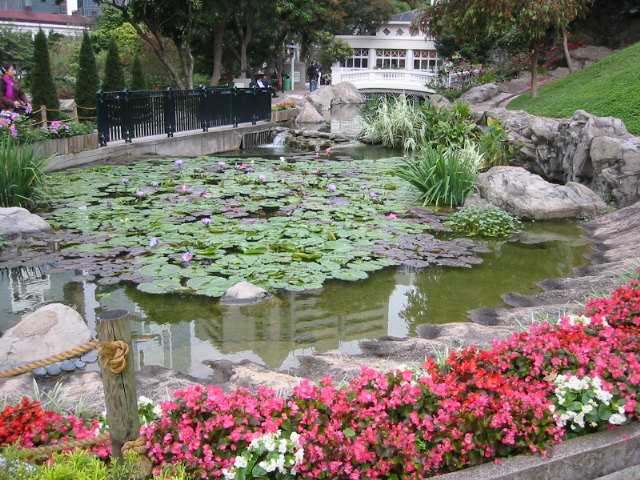 pond