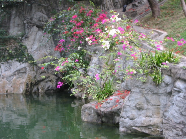 pond