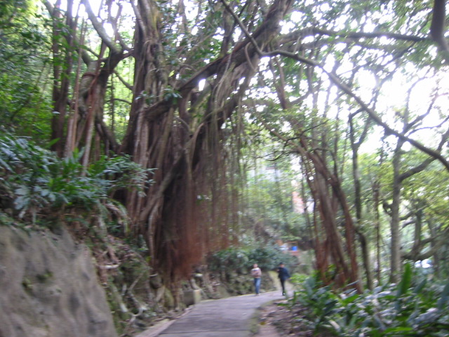walk