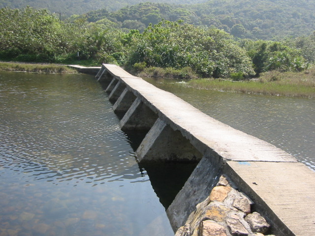 bridge