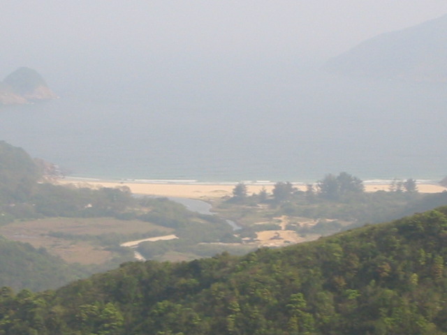 view