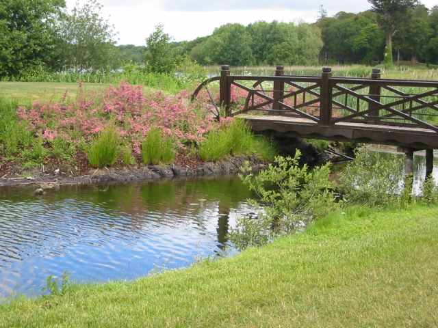 bridge at pond