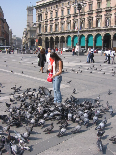 Pigeons