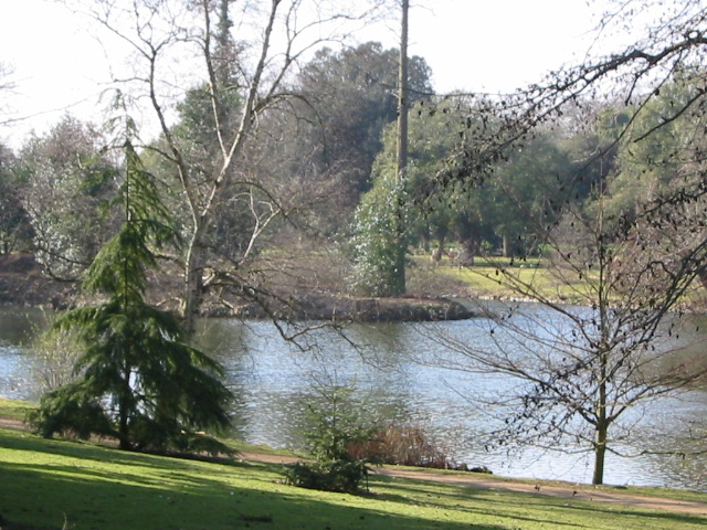 Pond