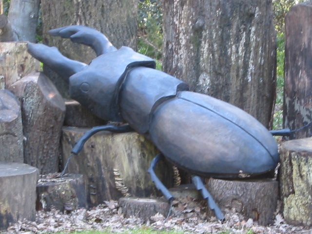 Beetles