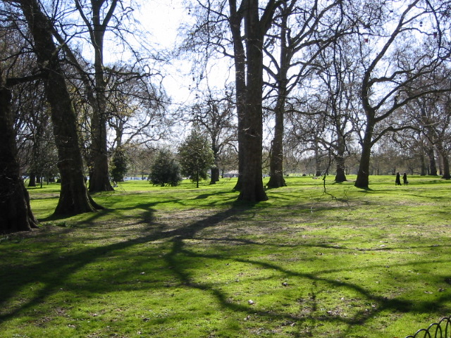 Greenery of the Park
