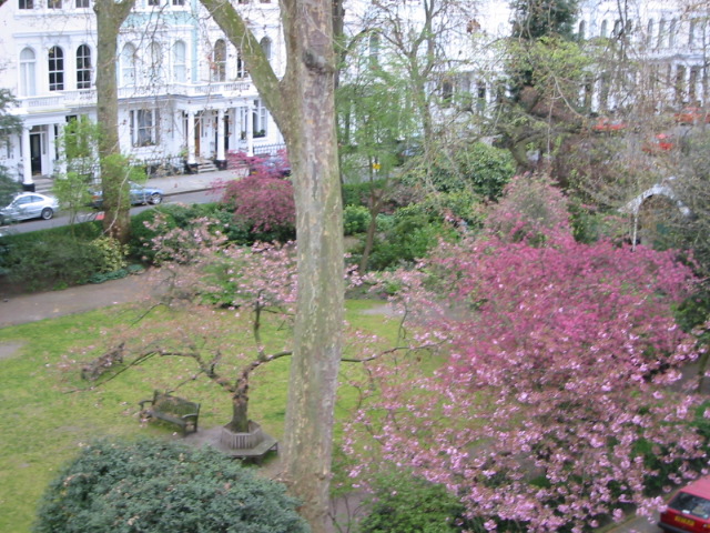 Garden in front of flat