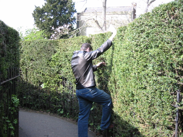 no cheating dave!