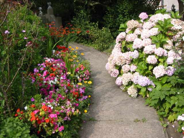 flowers at B&B