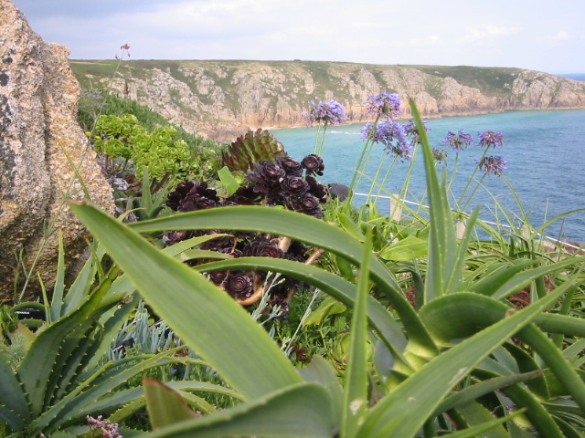 Minack Theater -seaside