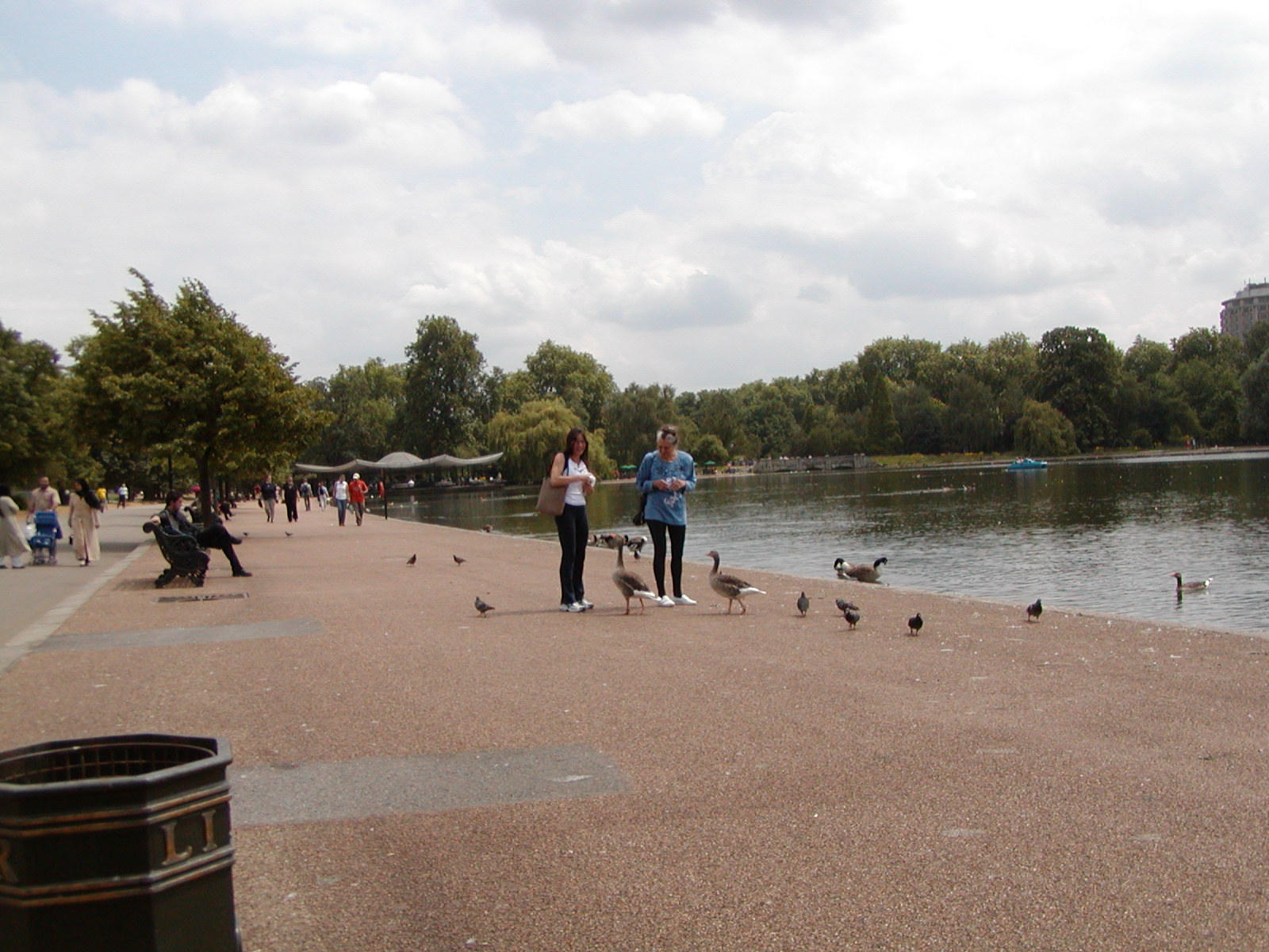 The Serpentine and more ducks
