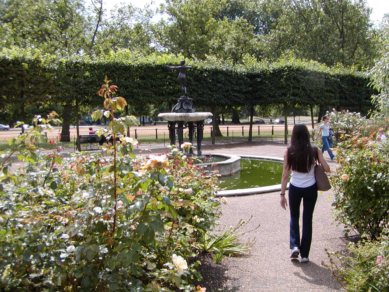 Rose Garden