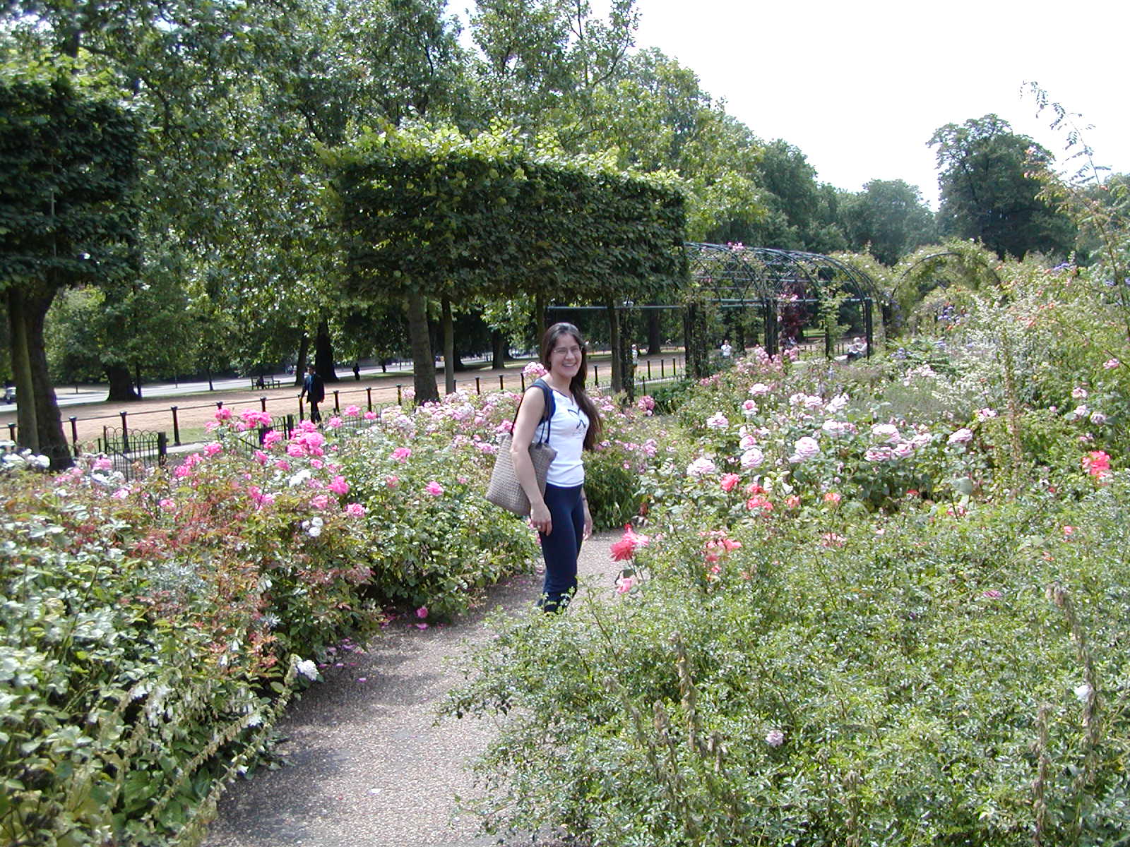 Rose Garden