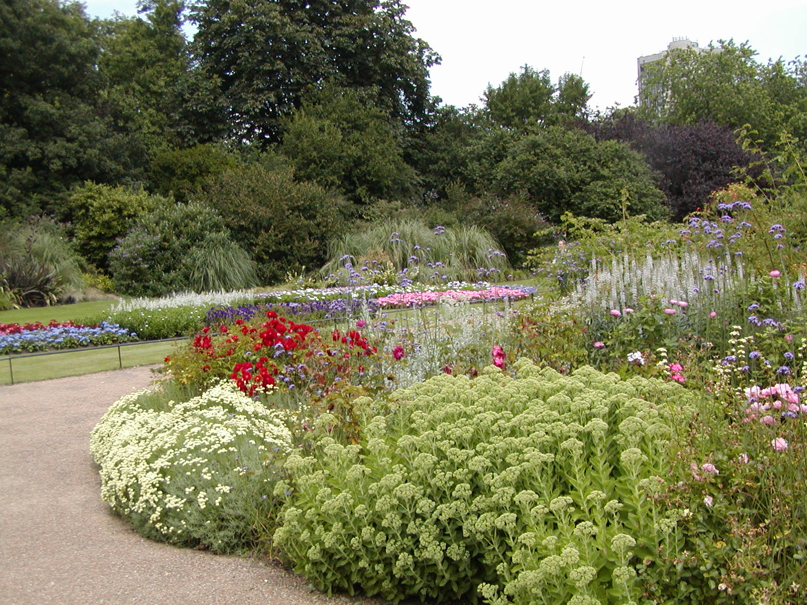 Rose Garden