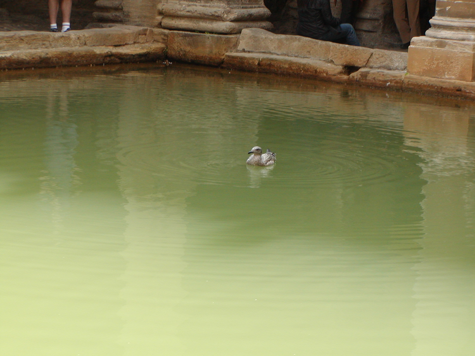 Roman Baths