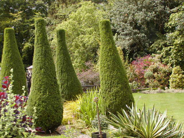 Gardens behind church