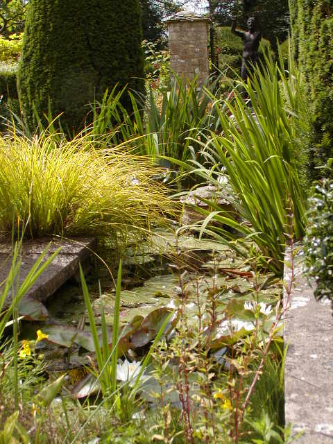 Gardens behind church