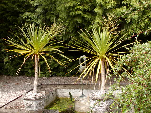 Gardens behind church