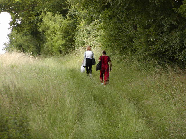 Cotswold Trail