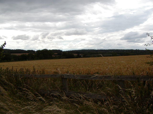 Cotswold Trail