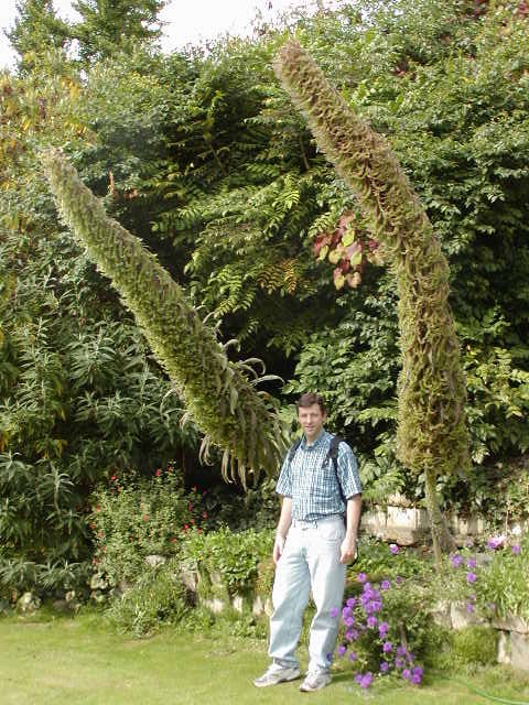 Windsor Castle Grounds