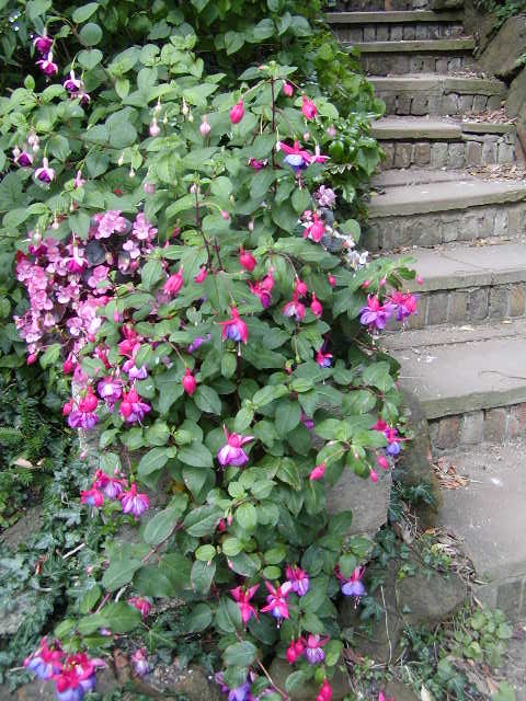 Windsor Castle Grounds