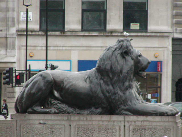 Lions