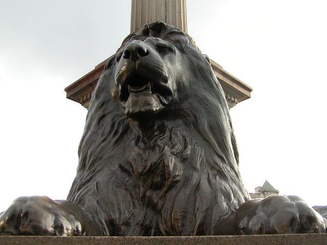 Lions