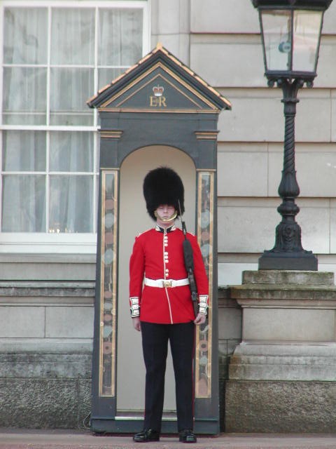 Guard in front of Palace