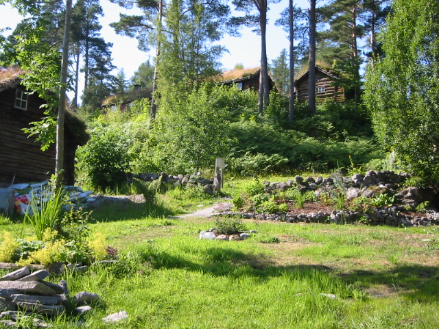 buildings and pathway