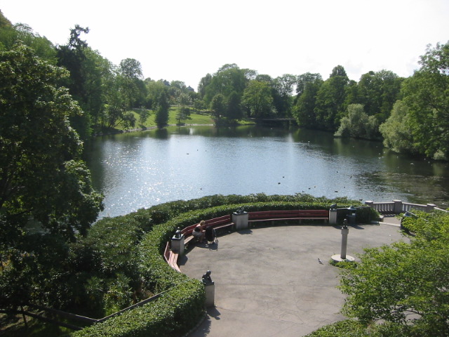 Park greenery