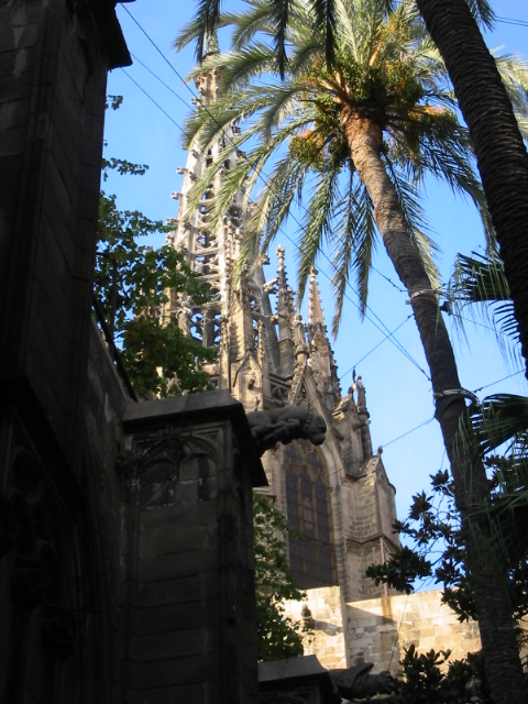 outside Catedral