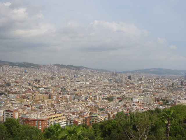 view